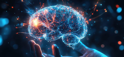 neuroscienze.jpg
